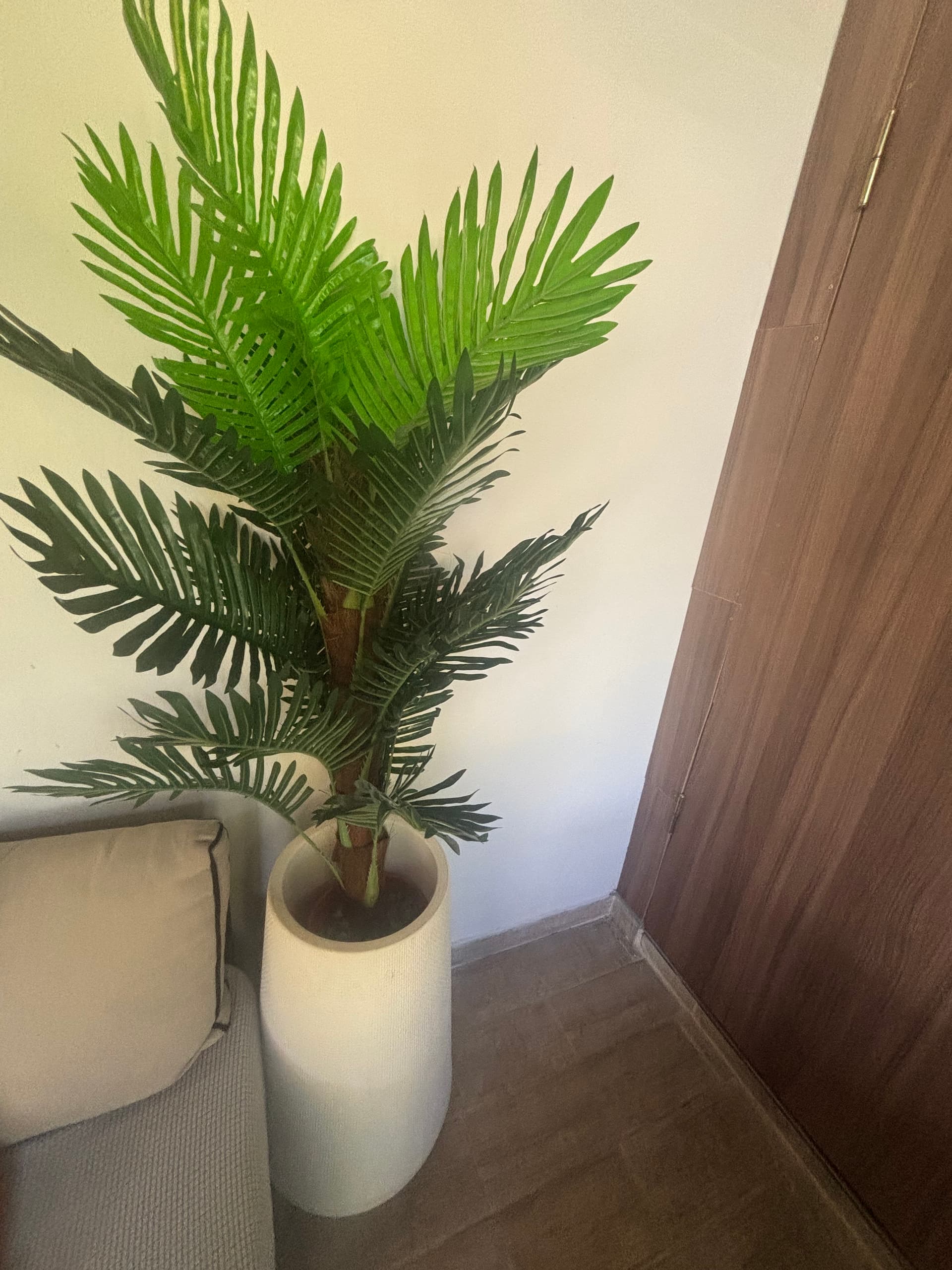 Photo by https://trato-hecho.nyc3.digitaloceanspaces.com/nextImages/(1)-planta-artificial-IMG_2746.jpeg