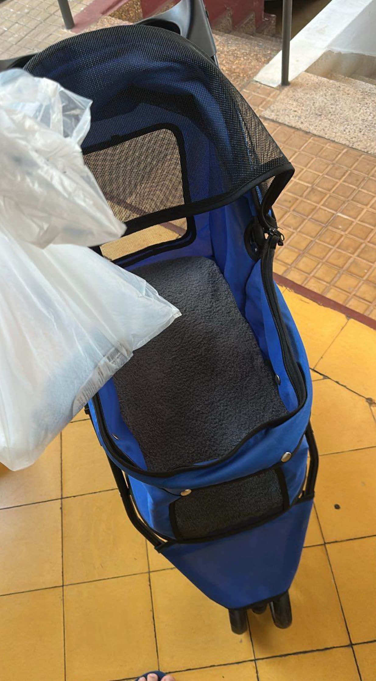 Photo by https://trato-hecho.nyc3.digitaloceanspaces.com/nextImages/(2)-carrito-para-mascotas-IMG_3380.jpeg