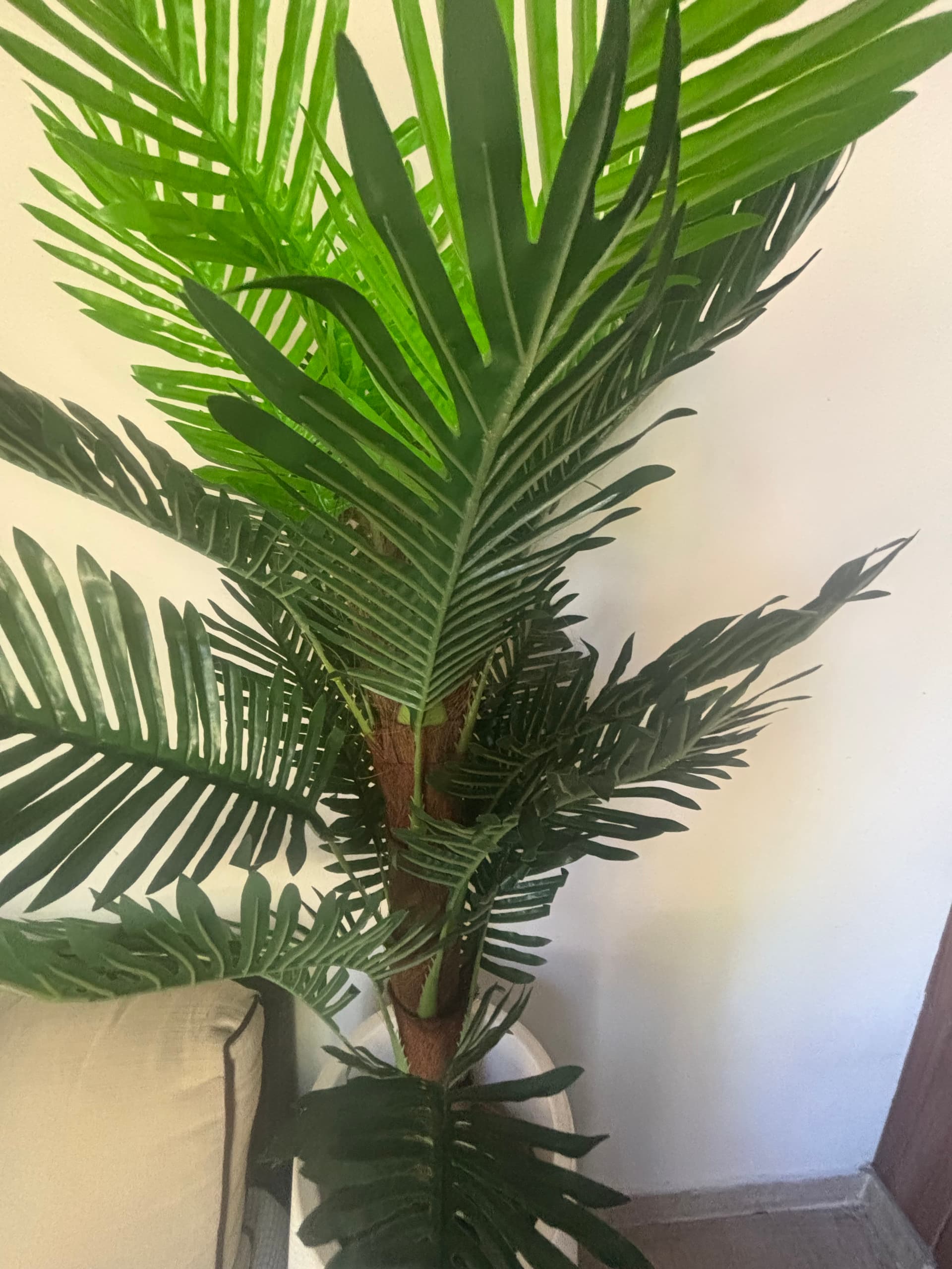 Photo by https://trato-hecho.nyc3.digitaloceanspaces.com/nextImages/(2)-planta-artificial-IMG_2748.jpeg