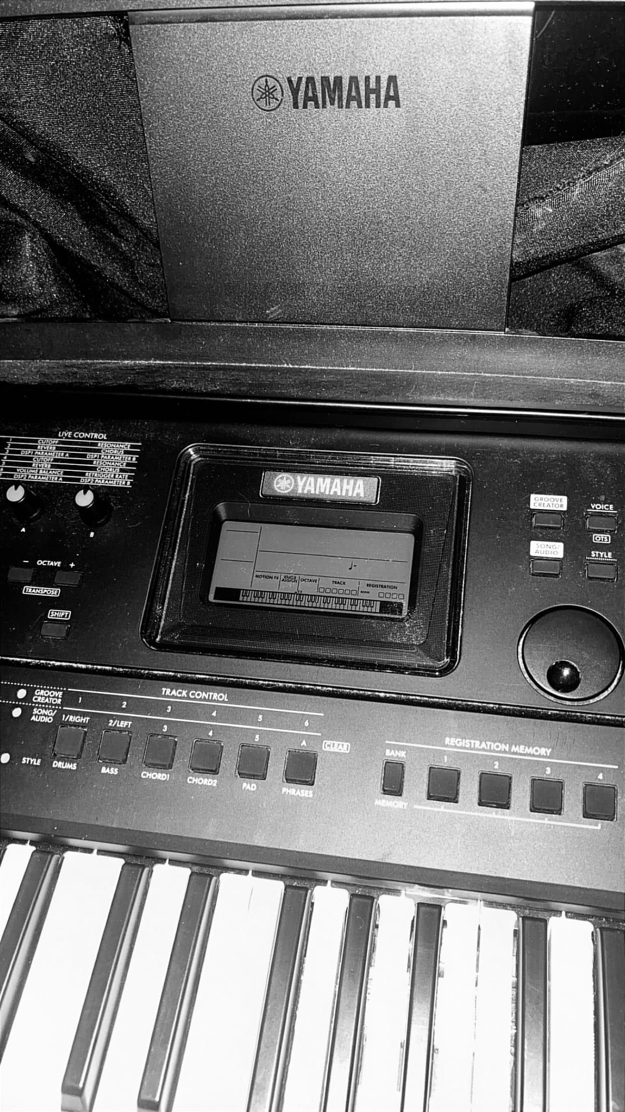 Photo by https://trato-hecho.nyc3.digitaloceanspaces.com/nextImages/(2)-vendo-teclado-piano-IMG_9729.jpeg