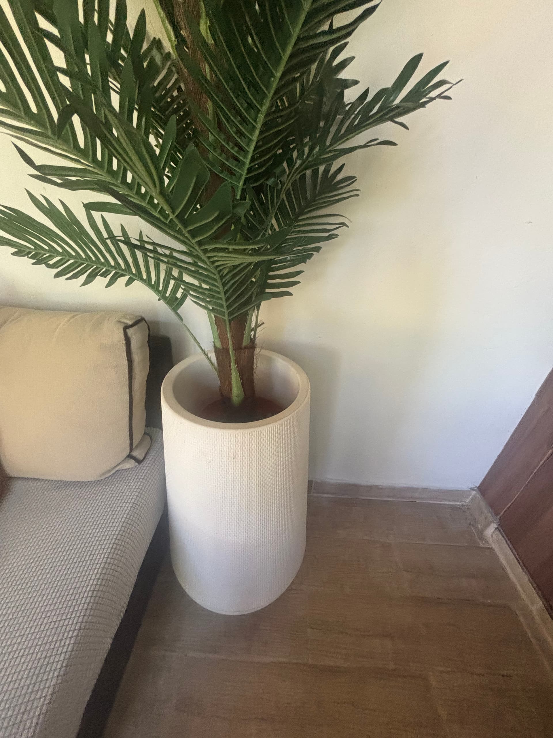 Photo by https://trato-hecho.nyc3.digitaloceanspaces.com/nextImages/(3)-planta-artificial-IMG_2747.jpeg