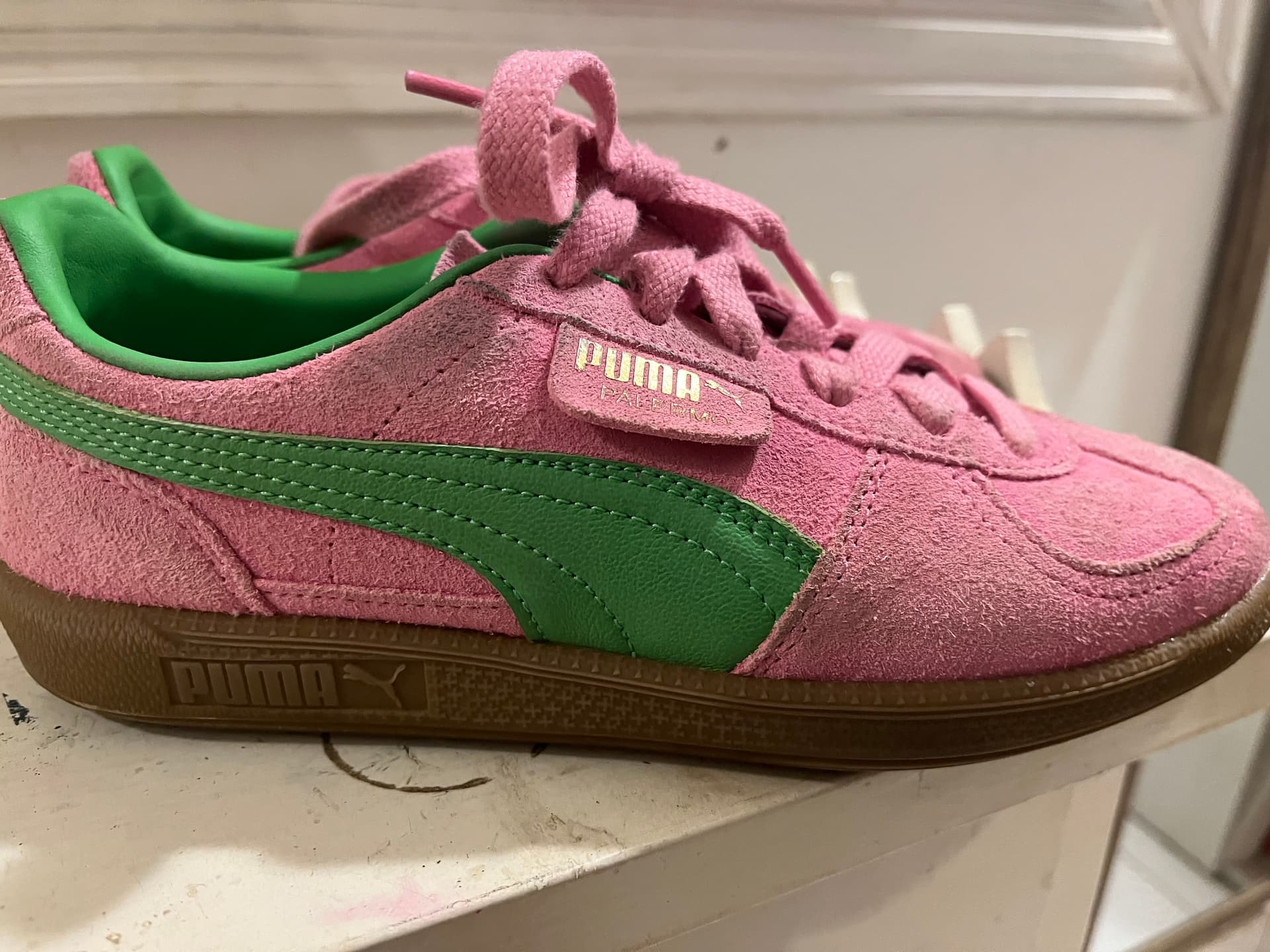 Photo by https://trato-hecho.nyc3.digitaloceanspaces.com/nextImages/(4)-champion-puma-mujer-IMG_3146.jpeg