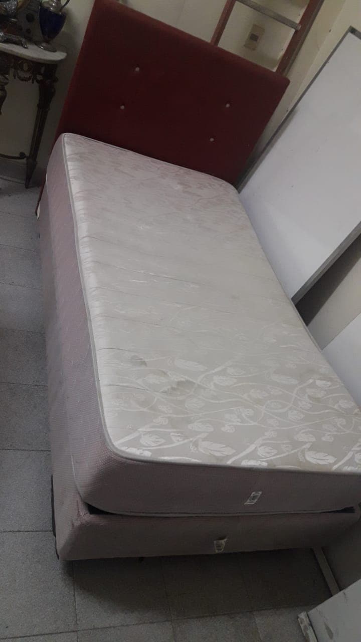 Photo by https://trato-hecho.nyc3.digitaloceanspaces.com/nextImages/WhatsApp Image 2024-04-05 at 09.57.48.jpeg